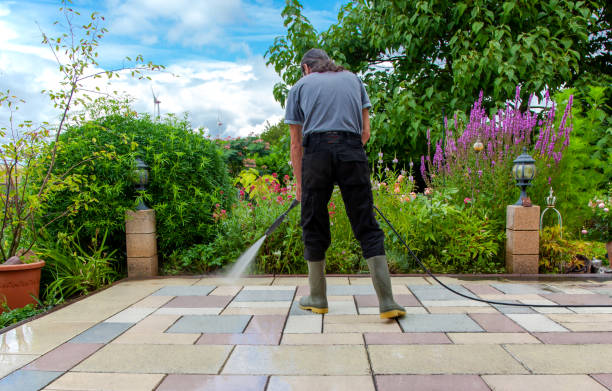 Best Sidewalk and Walkway Cleaning  in New Rockford, ND